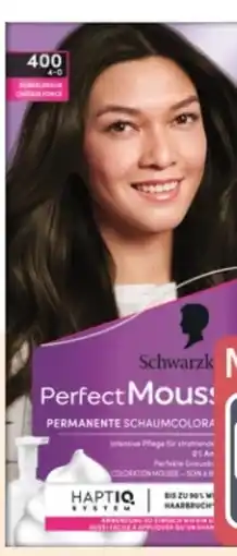 Rossmann Schwarzkopf Perfect Mousse Schaum Coloration Angebot