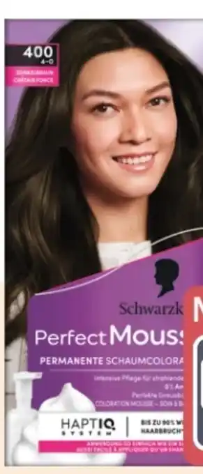 Rossmann Schwarzkopf Perfect Mousse Schaum Coloration Angebot