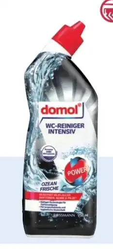 Rossmann Domol WC-Reiniger Intensiv Angebot