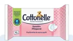 Rossmann Cottonelle Feuchtes Toilettenpapier Angebot