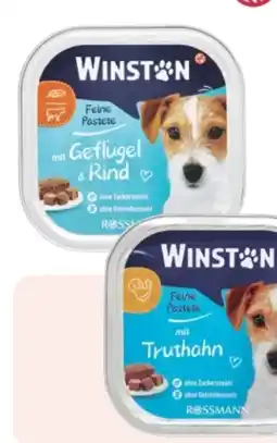 Rossmann Winston Feine Pastete Angebot