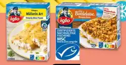 NETTO Iglo Filegro Angebot