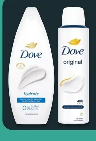 NETTO Dove Deospray Angebot