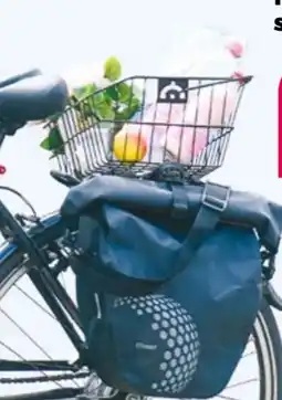 NETTO Fahrradständer Zweibein Angebot