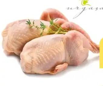 NETTO Wachteln Angebot