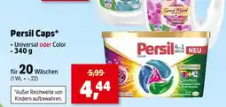 Thomas Philipps Persil caps Angebot