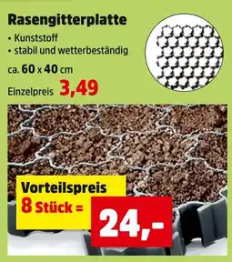 Thomas Philipps Rasengitterplatte Angebot