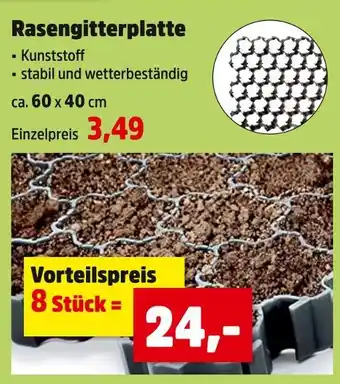 Thomas Philipps Rasengitterplatte Angebot