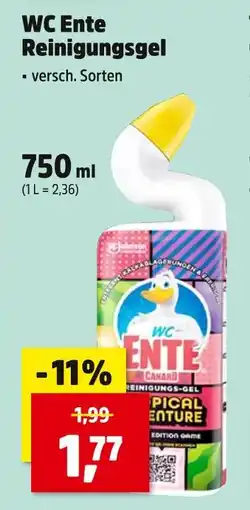 Thomas Philipps Wc ente reinigungsgel Angebot