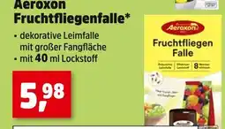 Thomas Philipps Aeroxon fruchtfliegenfalle Angebot