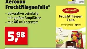 Thomas Philipps Aeroxon fruchtfliegenfalle Angebot