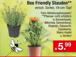 Zimmermann Bee friendly stauden Angebot
