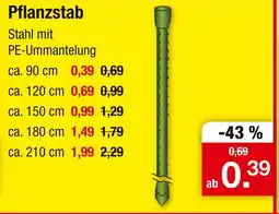 Zimmermann Pflanzstab Angebot
