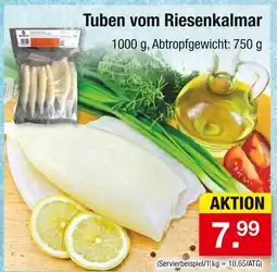 Zimmermann Seawork tuben vom riesenkalmar Angebot