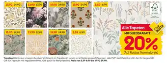 Rusta Tapete Angebot