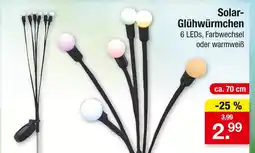 Zimmermann Solar-glühwürmchen Angebot