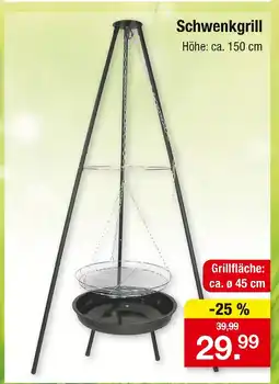 Zimmermann Schwenkgrill Angebot