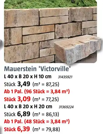 Bauhaus Mauerstein 'victorville' Angebot