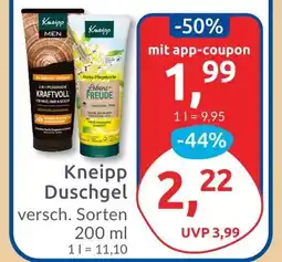 Budni Kneipp men 3 in 1 pflege-dusche kraftvoll Angebot