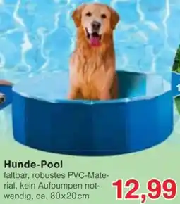 Jawoll Hunde-Pool Angebot