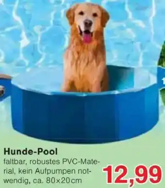Jawoll Hunde-Pool Angebot