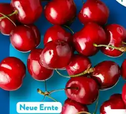 Aldi Süd Kirschen Angebot
