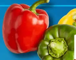 Aldi Süd Paprika Mix Angebot
