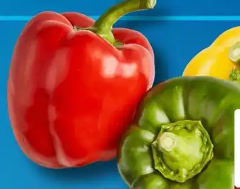 Aldi Süd Paprika Mix Angebot