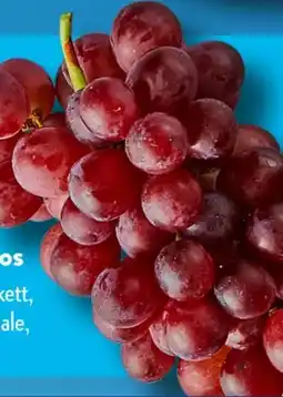 Aldi Süd Trauben Angebot