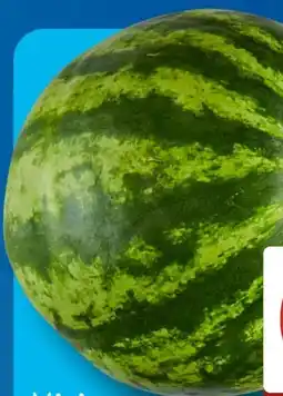 Aldi Süd Mini-Wassermelone Angebot