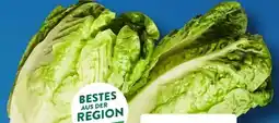 Aldi Süd Bestes aus der Region Salatherzen Mini-Romana Angebot