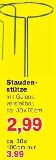 Jawoll Staudenstütze Angebot