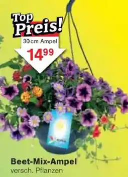 Jawoll Beet-Mix-Ampel Angebot