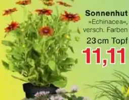 Jawoll Sonnenhut Angebot