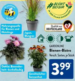 Aldi Süd GARDENLINE Bienen-Bistro Angebot