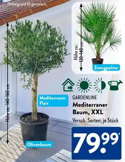 Aldi Süd GARDENLINE Mediterraner Baum, XXL Angebot