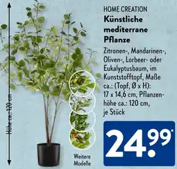 Aldi Süd HOME CREATION Künstliche mediterrane Pflanze Angebot