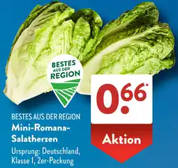 Aldi Süd Mini-Romana Salatherzen Angebot