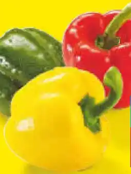 Netto Marken-Discount Paprika Mix Angebot