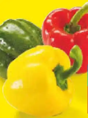 Netto Marken-Discount Paprika Mix Angebot
