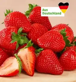 PENNY Best Moments Erdbeeren Angebot