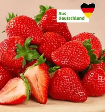 PENNY Best Moments Erdbeeren Angebot