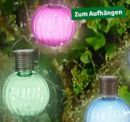 PENNY LED Deko-Solarleuchte Angebot