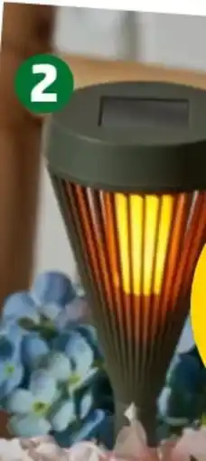PENNY Home Ideas Seasons Solarsteckfackeln Angebot
