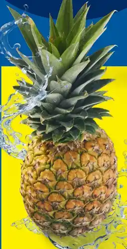 Lidl Ananas Angebot