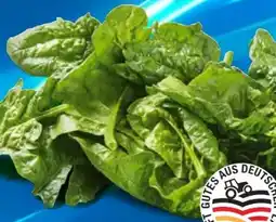 Lidl Spinat Angebot