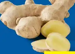 Lidl Bio Ingwer Angebot