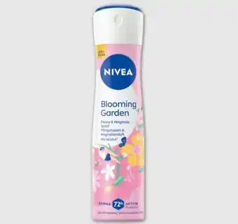 PENNY Nivea Deospray Angebot