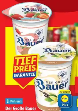 Lidl Bauer Der Große Joghurt Vanille Angebot