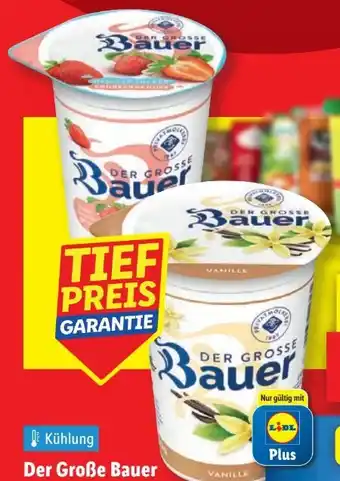 Lidl Bauer Der Große Joghurt Vanille Angebot